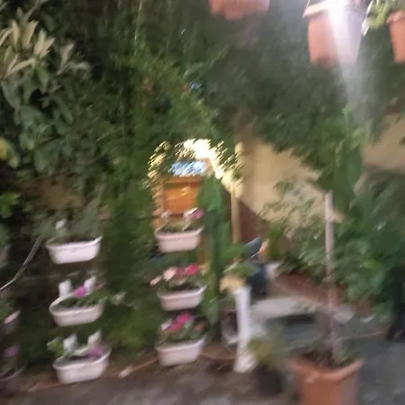 Villa Helal El Diyar Ayranci Village 2