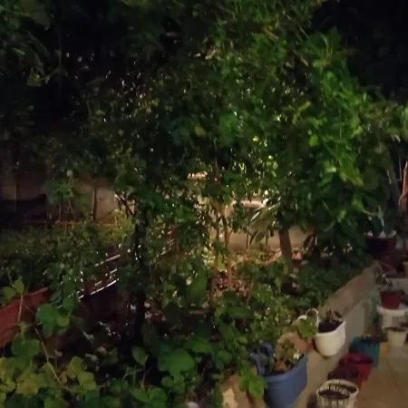 Helal El Diyar Ayranci Village 2 Villa *