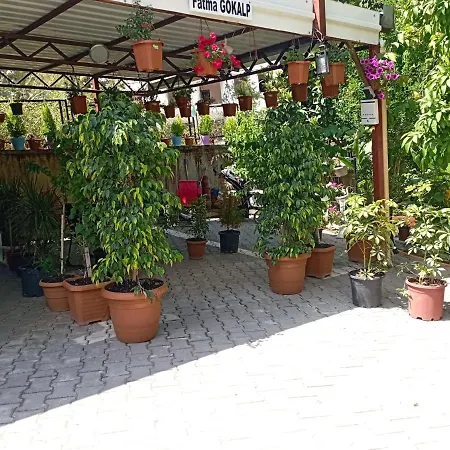 Helal El Diyar Ayranci Village 2 Villa *